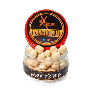Pot of max attract baits bancho nut white wafters set in white back ground