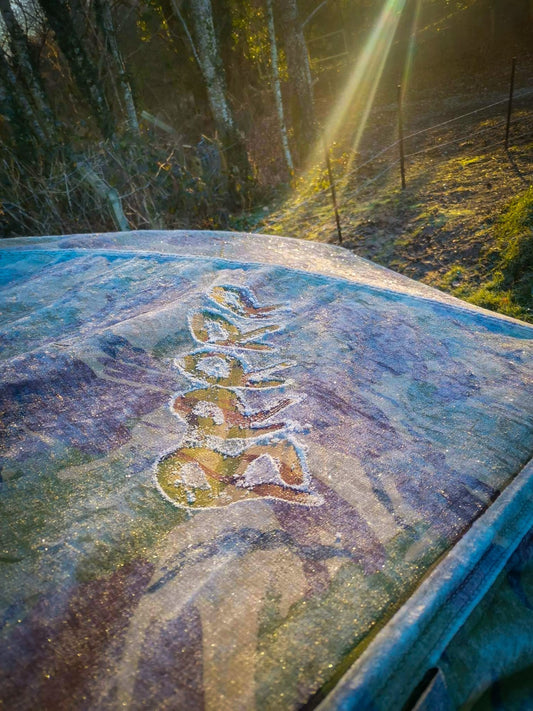 Winter Reflections at Serenity | Mat Holland