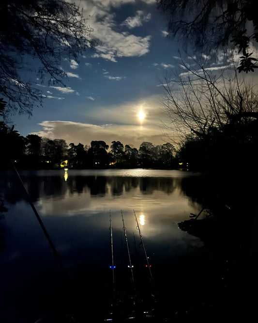 Winter Reflections 22/23 | Ben Faulkner