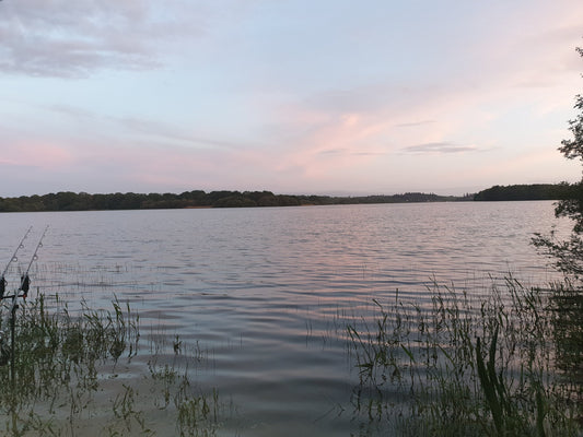 The Realities of Public Water Fishing W// Dan Williams.