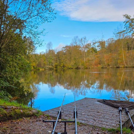 A Tale of Two Sixties W// Fred Saunders