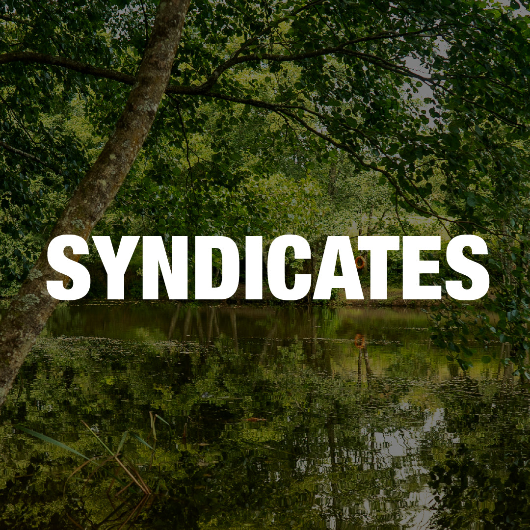 Syndicates