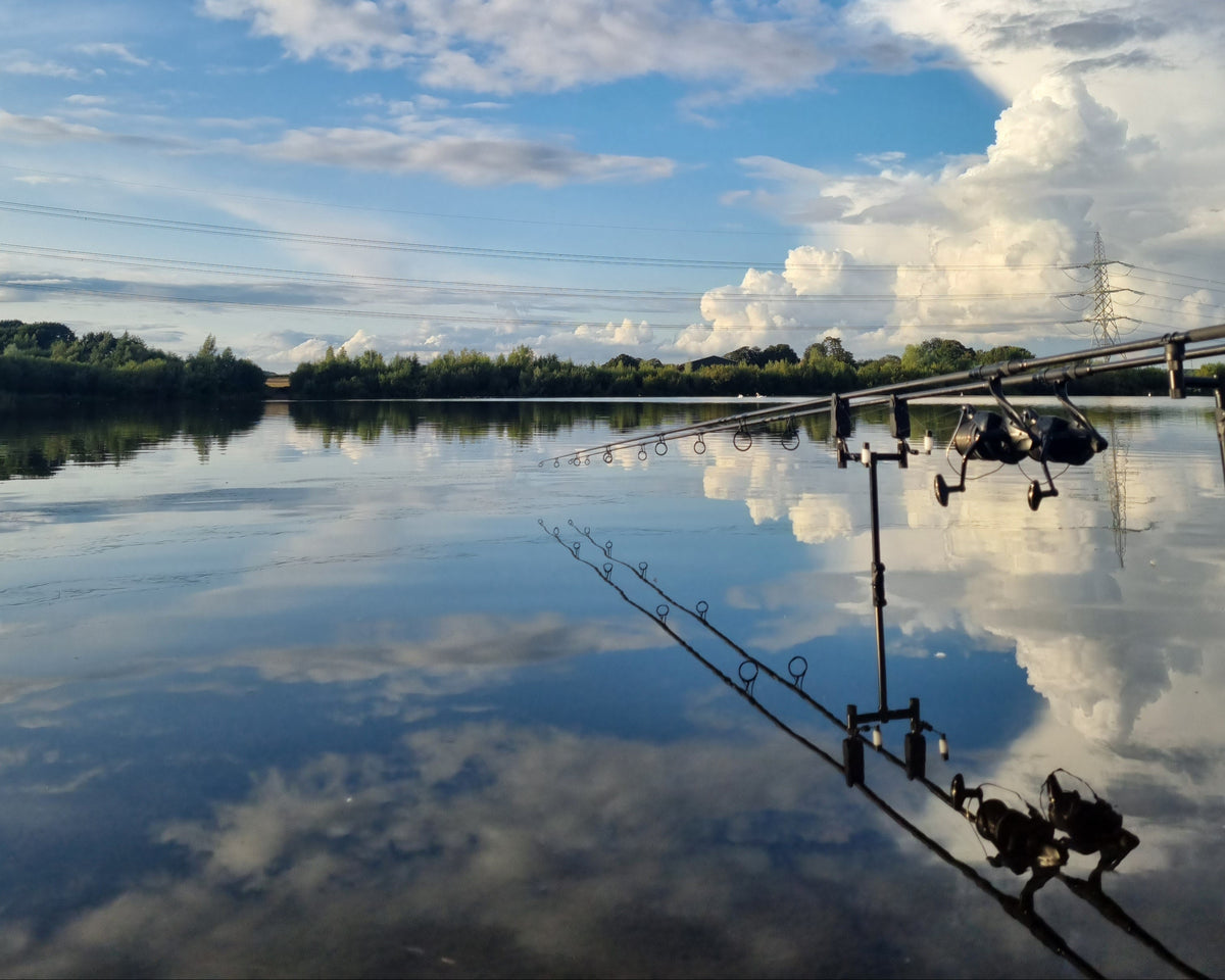 A mirrored or reflected outdoor scene showing a blue sky with white clouds, a narrow strip of green trees, and fishing rods running vertically and diagonally across the right side.