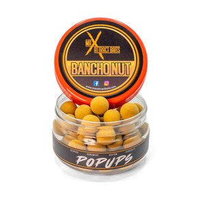 Pot of max attract baits bancho nut brown popups set in white back ground