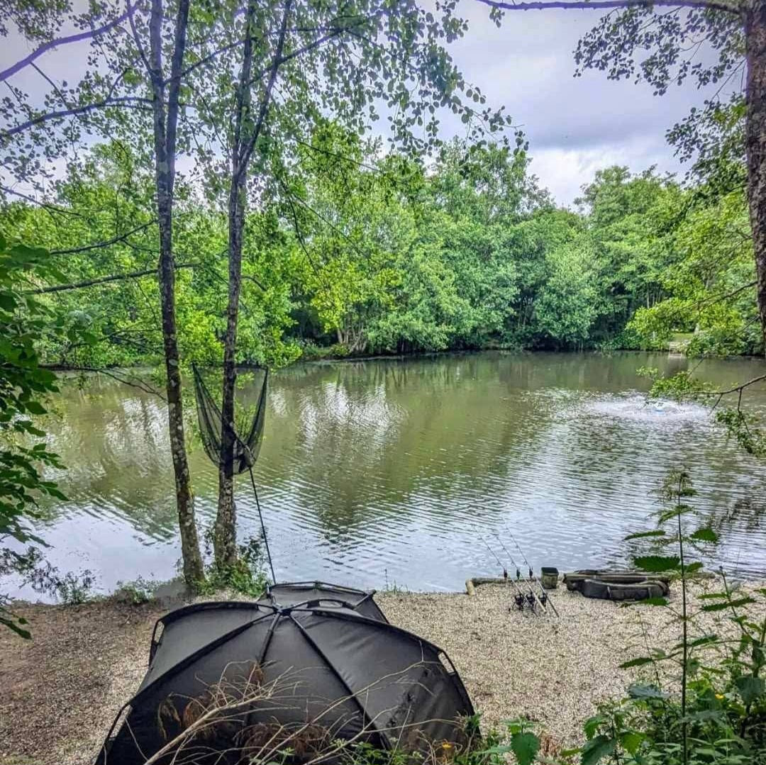 a swim on a carp lake overlooking the lake and the swim with a bivvy, set of rods, bucket and unhooking mat, with a carp landing net leaning up against a tree