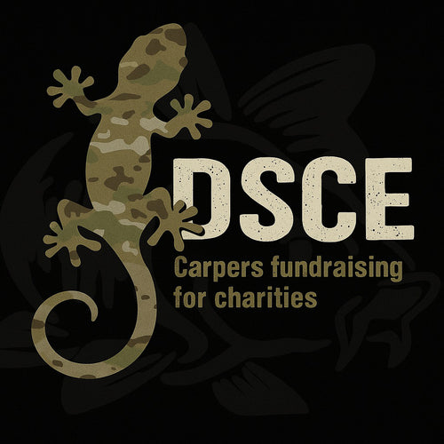 DSCE