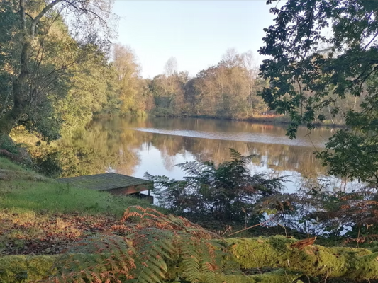 Etangs de Kerbidic 2nd October 2025