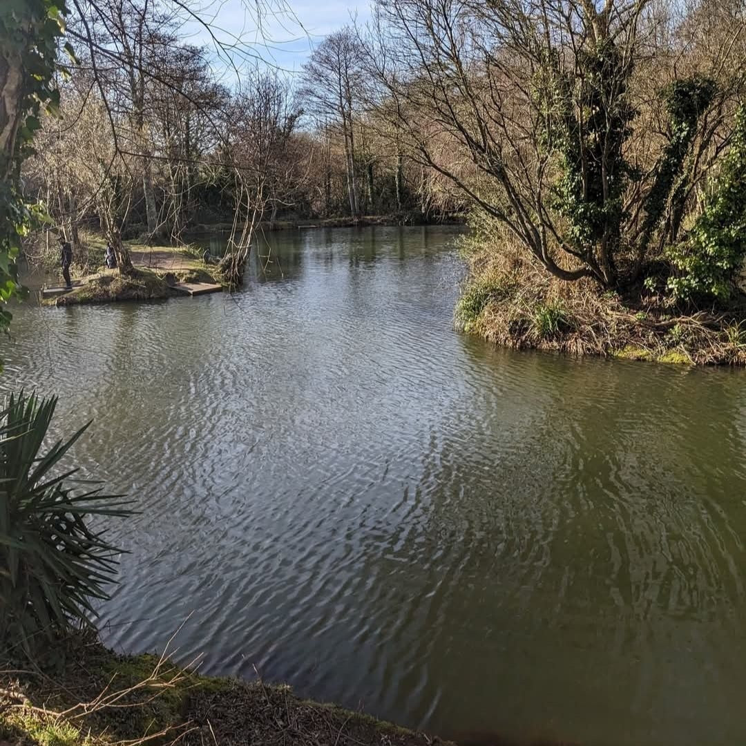 small carp lake in winter with multiple small islands, lined with tress with no leaves on