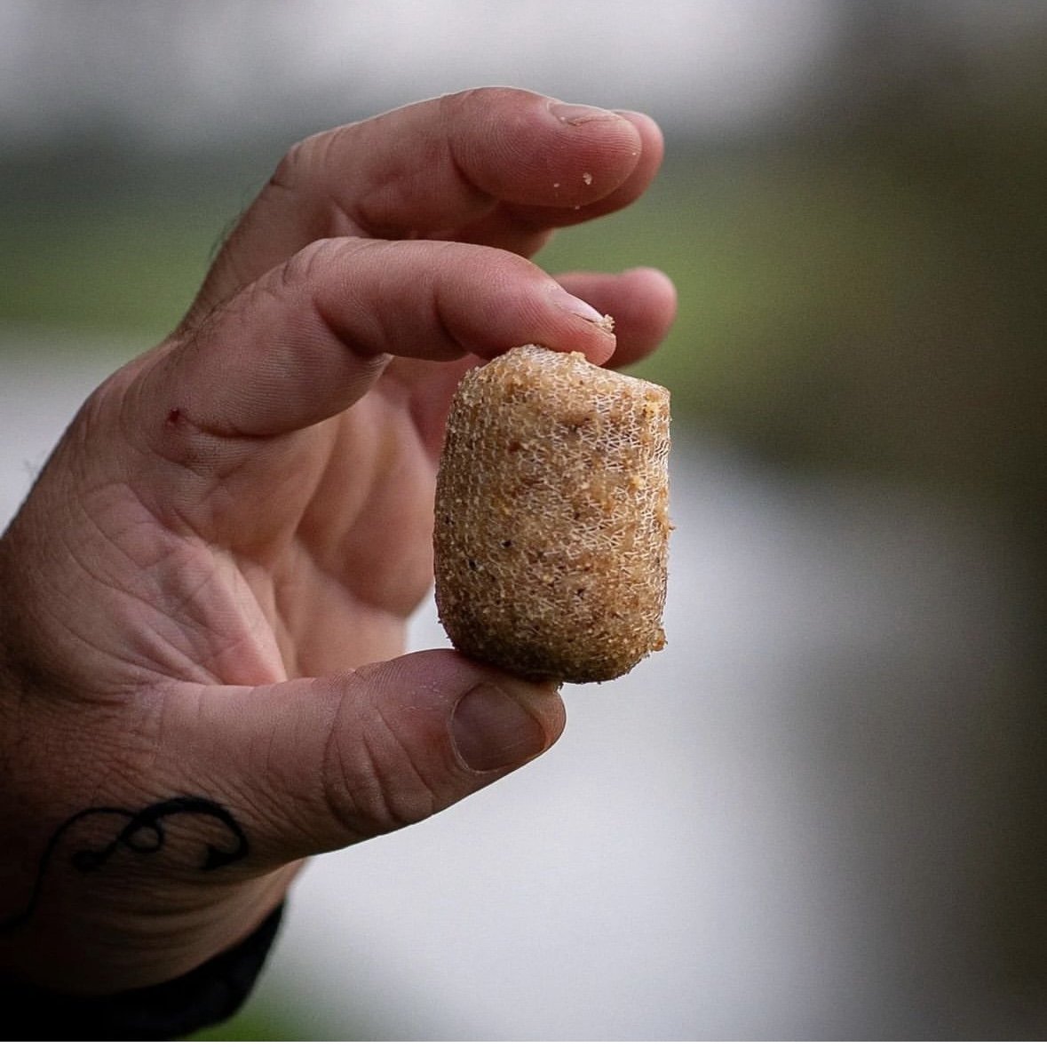 hand holding pva stick filled with max attract baits stick mix with blurred back ground