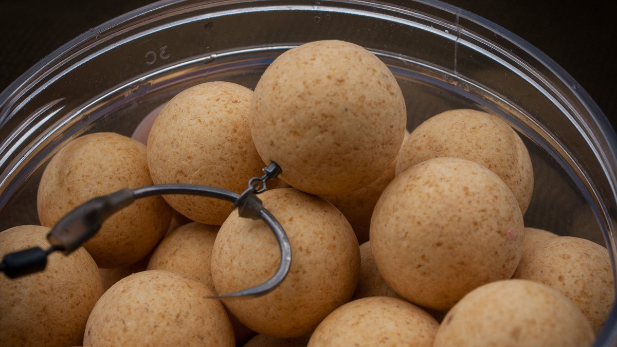 Carp popups in a max attract baits pot.